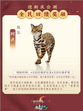 天龙八部打米私服